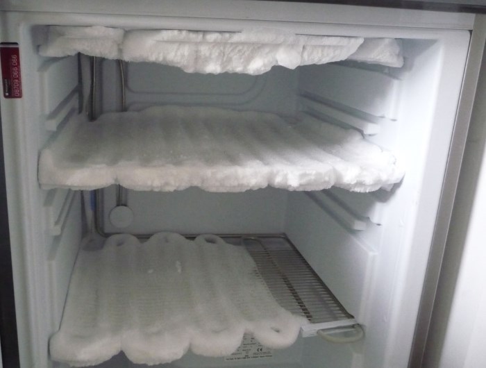 фото льда в холодильнике